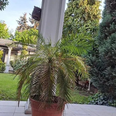 Ella *