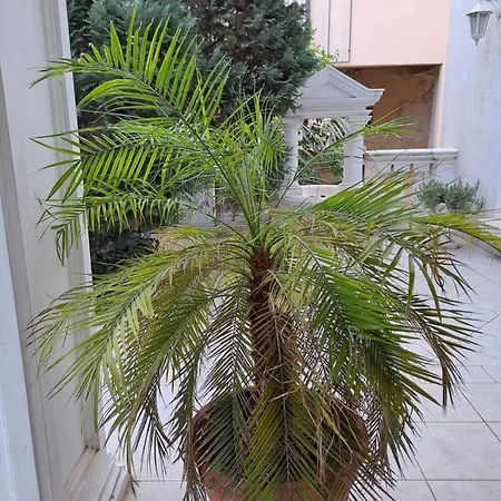 Apartament Ella *